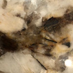 Meet your Posher, Cara